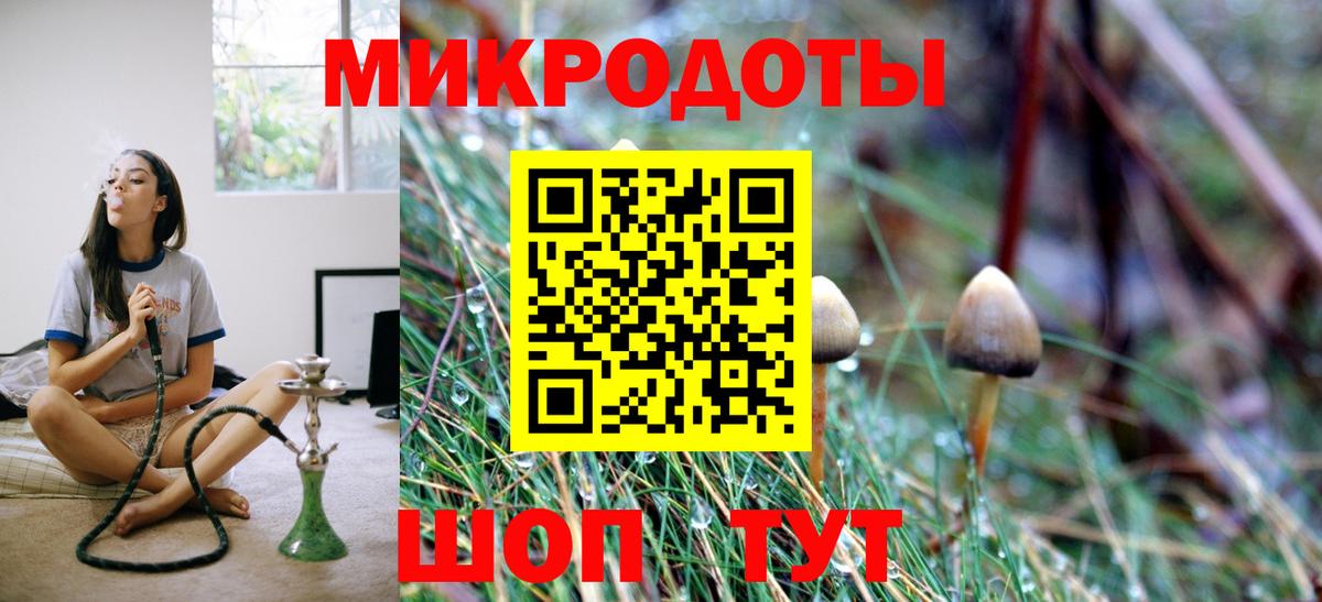Псилоцибиновые грибы Psilocybine cubensis Скопин