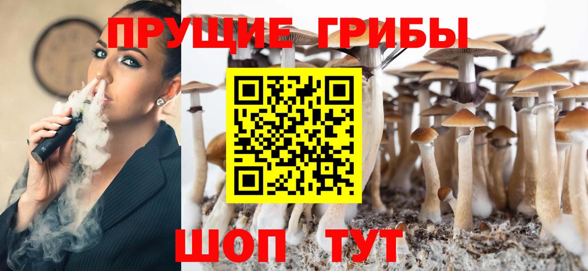 Скопин  Псилоцибиновые грибы GOLDEN TEACHER  Галлюциногенные грибы Magic Shrooms  Вход с VPN 